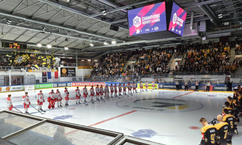 Wie schon 2021 gastieren die Rotjacken in der Champions Hockey League auch bei den Rouen Dragons