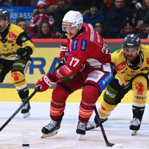 Nick Pastujov schrieb erneut an und traf in seinem fünften Spiel nach Verletzungspause zum vierten Mal