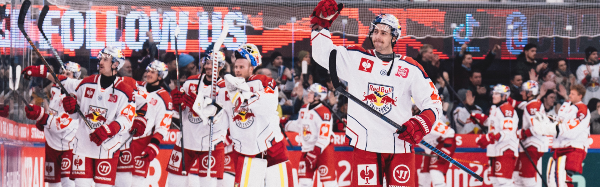 Der EC Salzburg stieß heuer in der Champions Hockey League bis in das Viertelfinale vor