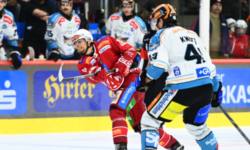 David Maier und die Rotjacken empfangen am Freitag die Black Wings Linz, die im November das letzte ICE-Team waren, das Klagenfurt mit Punkten verließ